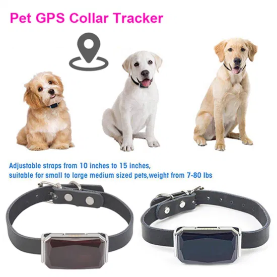 New launched China factory water resistance long battery life 2G GPS Tracker gadget for pets dog cats puppies Y31