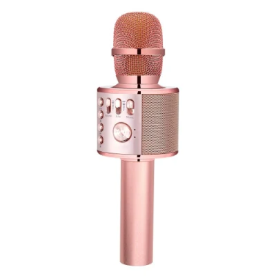 Portable Handheld Karaoke Machine Player for Outdoor Party